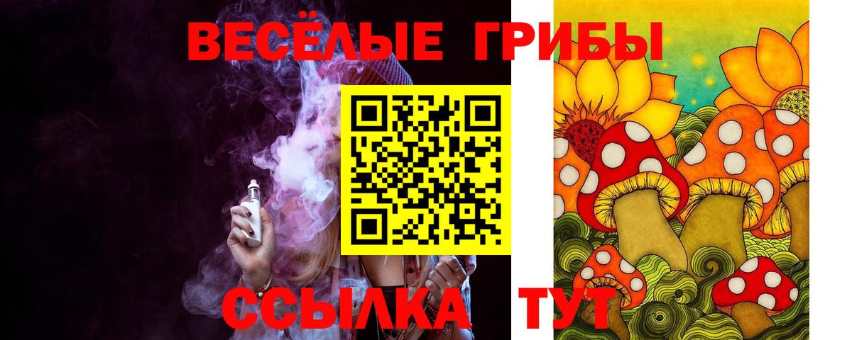 Псилоцибиновые грибы GOLDEN TEACHER Волгоград